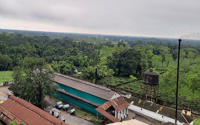 Neoranadi Tea Garden (TATA)